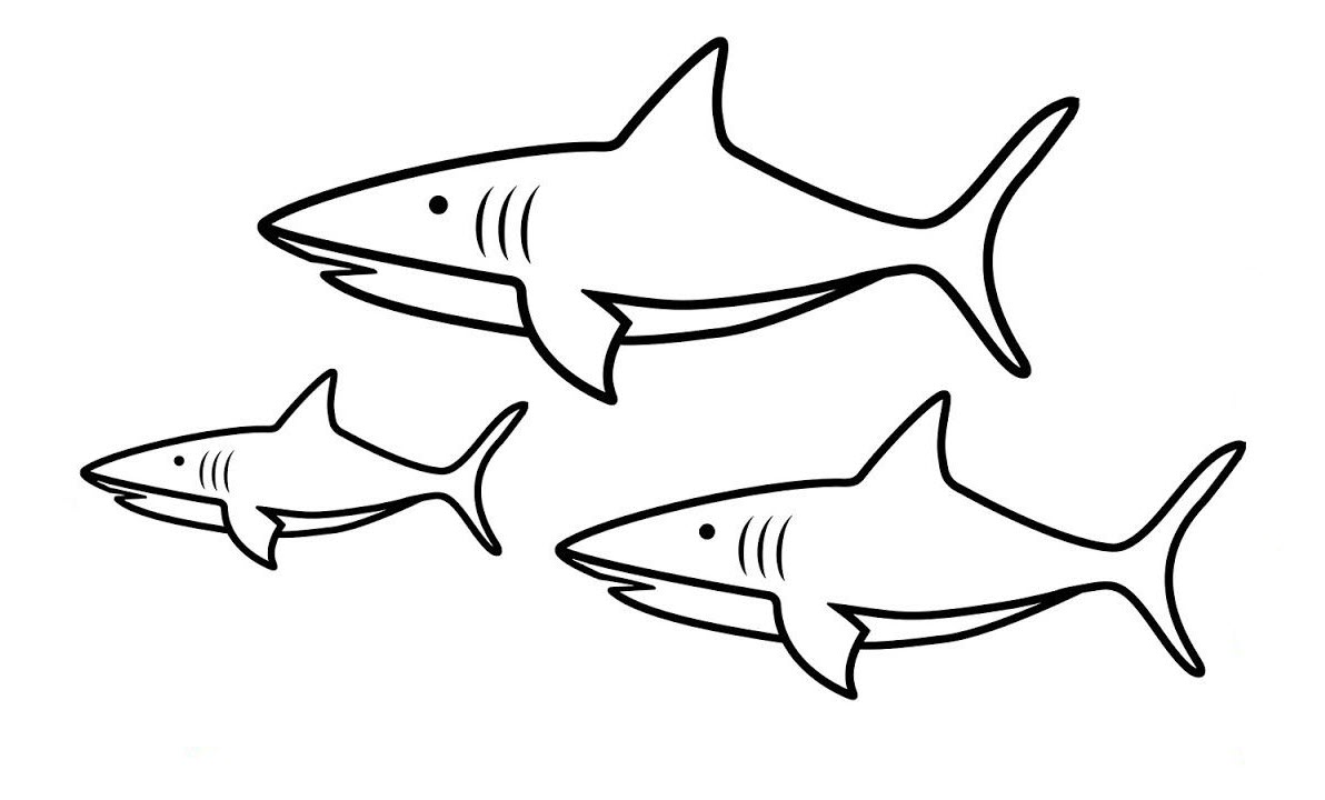 Tranh tô màu sắc đàn cá mập