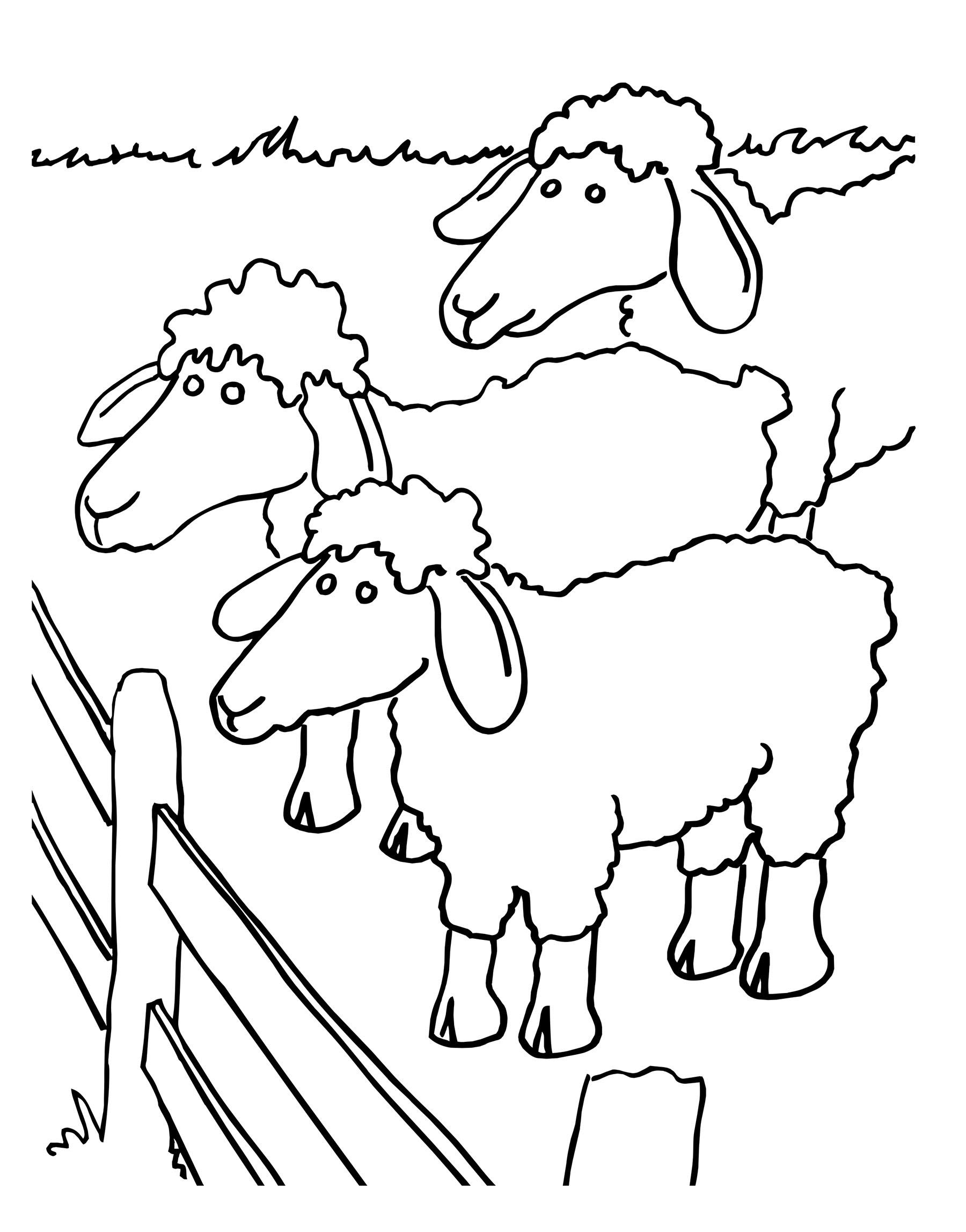 Tranh tô màu đàn cừu trong nông trại