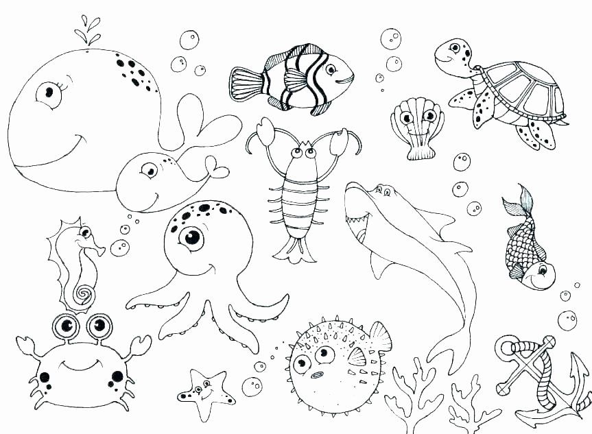 Tranh tô màu một số con vật sống ở đại dương