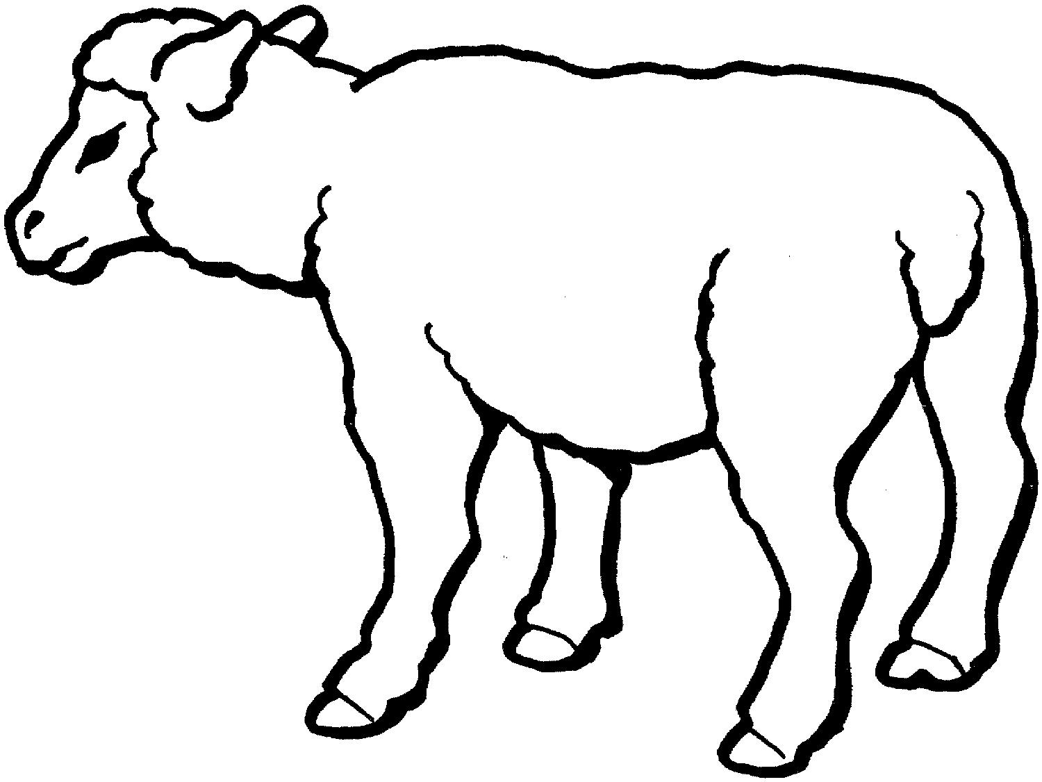 Tranh trắng đen hình con cừu cho bé tô màu
