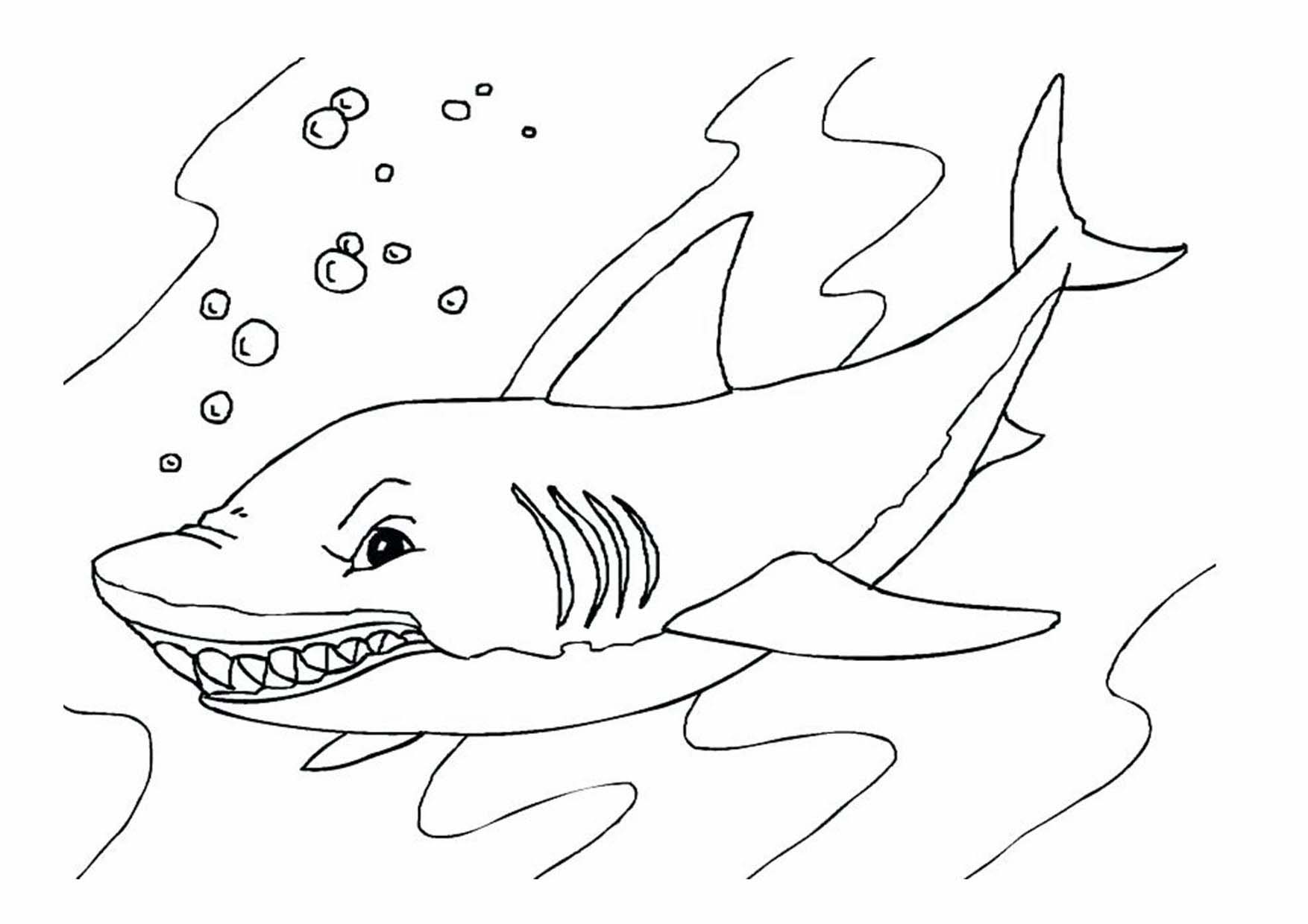 Vẽ con cá mập trắng đen cho bé tô màu