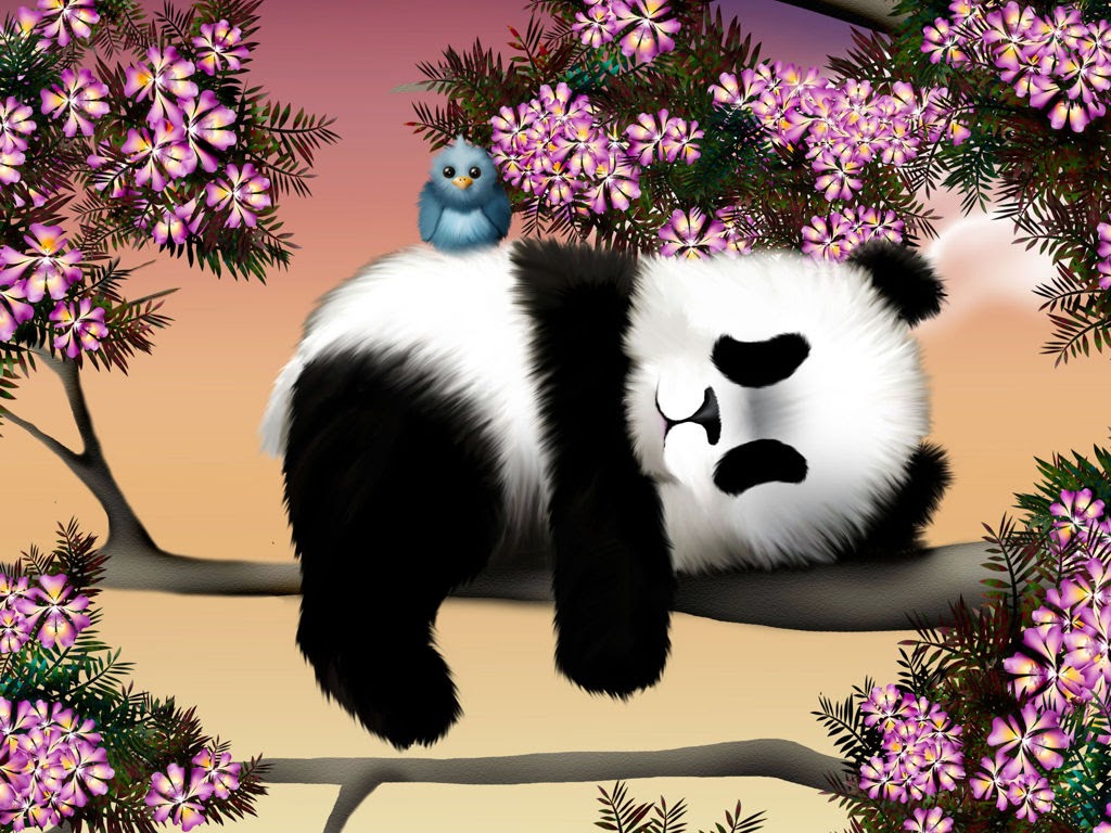 Ảnh gấu trúc Panda dễ thương nhất
