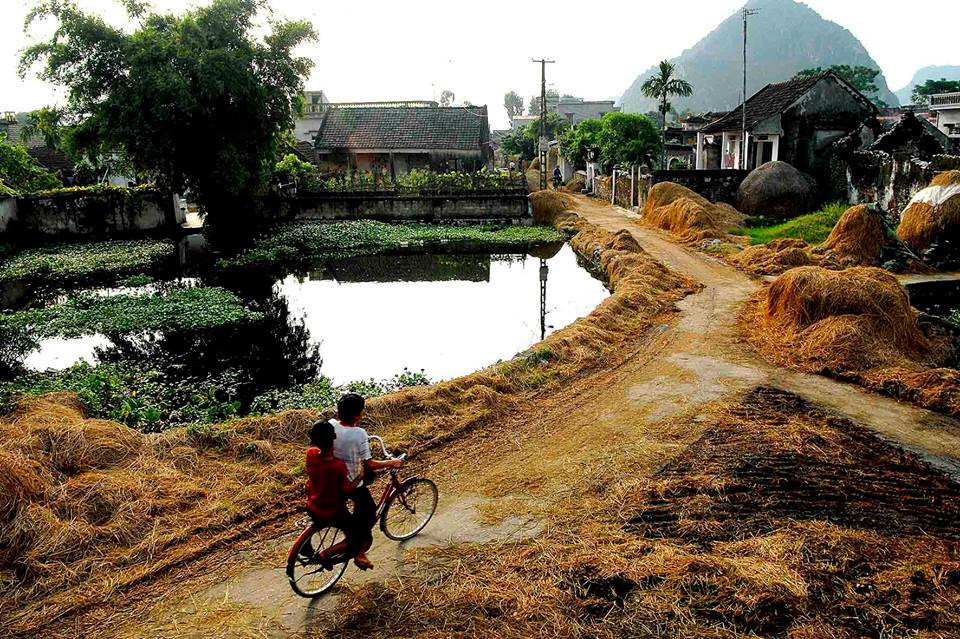 Hình ảnh bình dị tuyệt đẹp của làng quê Việt Nam