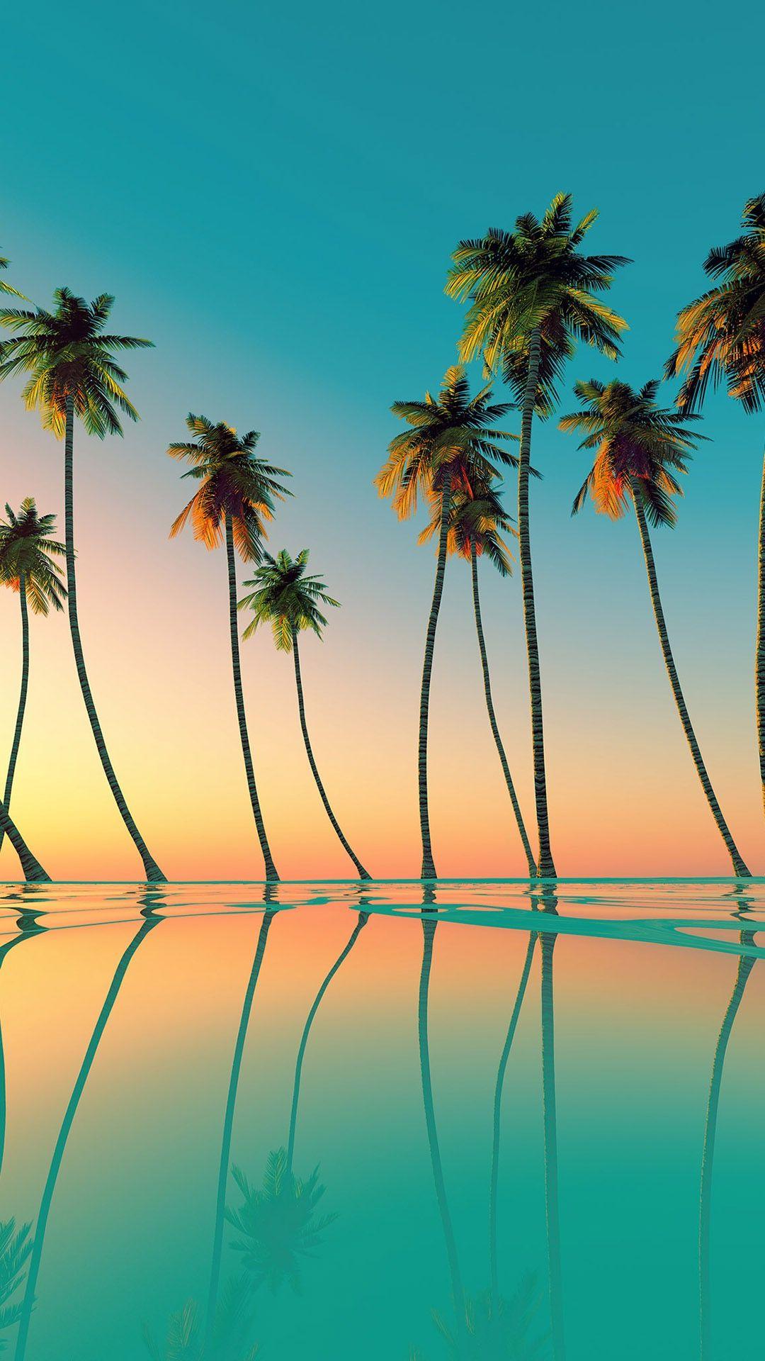 Hình ảnh cây dừa đẹp bên biển xanh