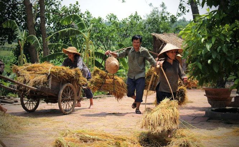 Hình ảnh đẹp, bình dị về làng quê Việt Nam