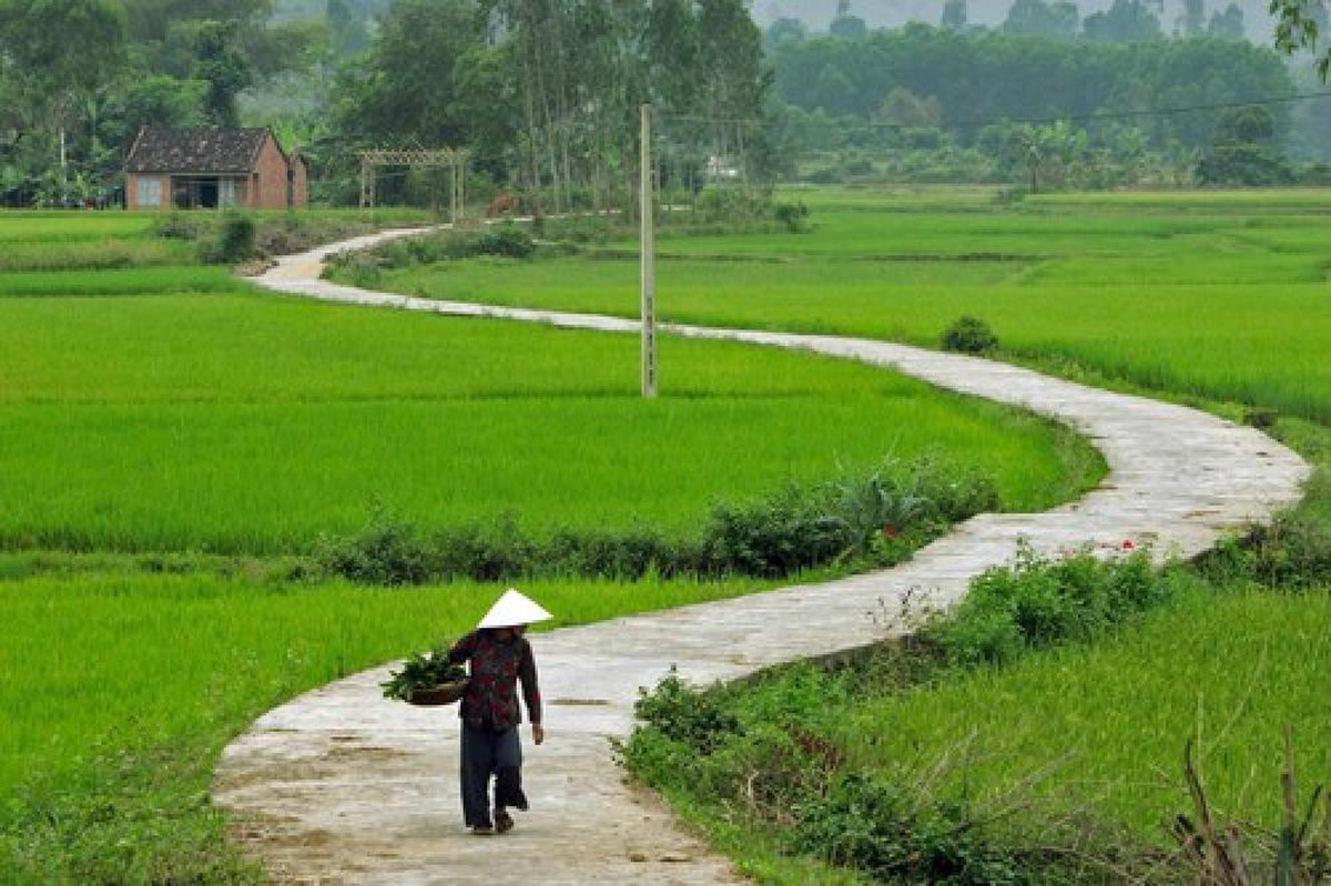 Hình ảnh đồng quê Việt Nam đẹp đến nao lòng