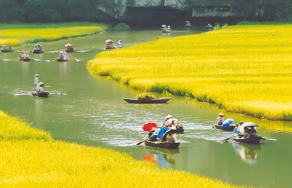 Hình ảnh đồng quê Việt Nam tuyệt đẹp