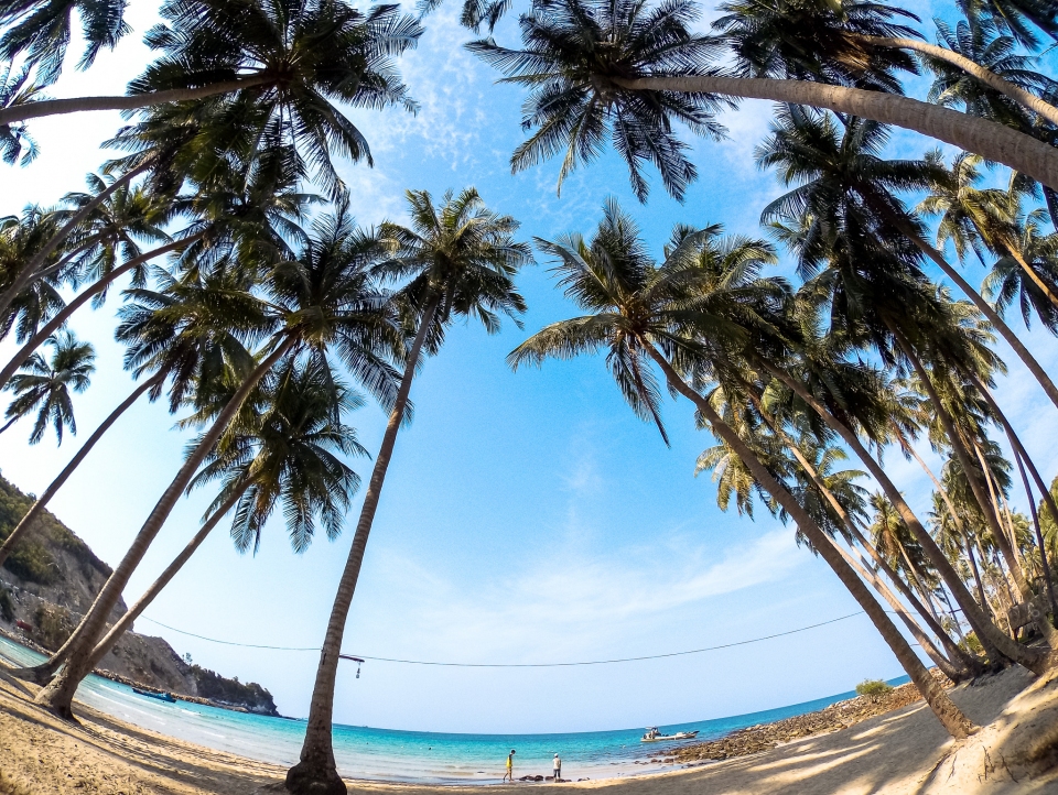Hình ảnh hàng dừa Bãi Mến, đảo lớn Nam Du