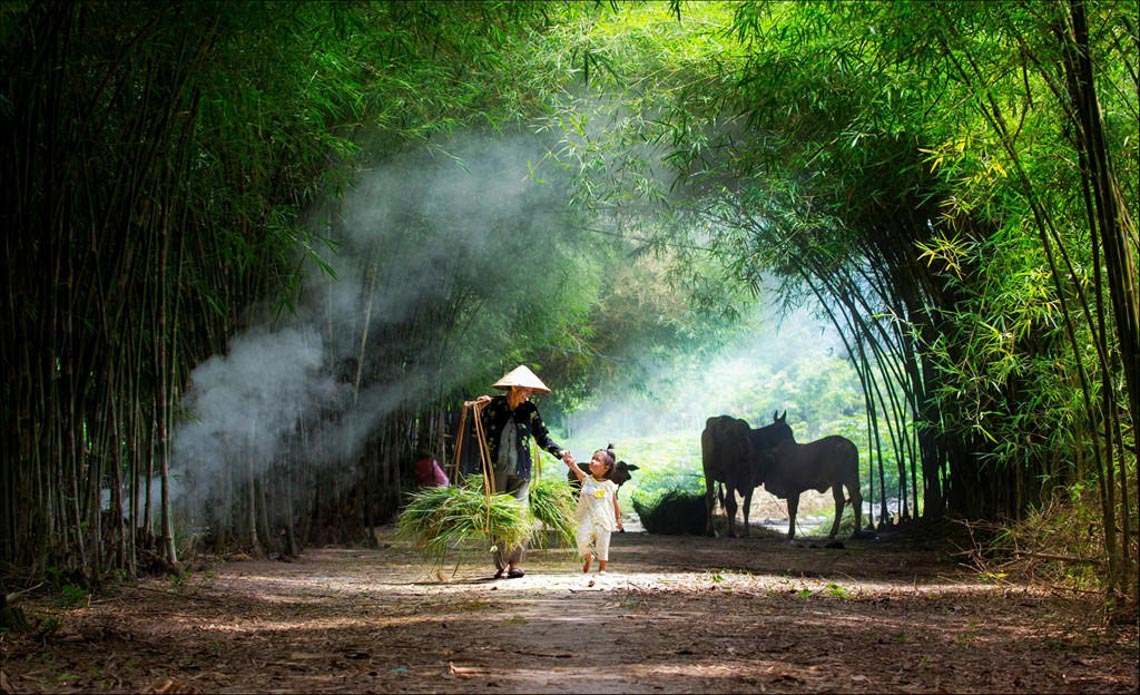 Hình ảnh làng quê Việt đẹp, yên bình nhất