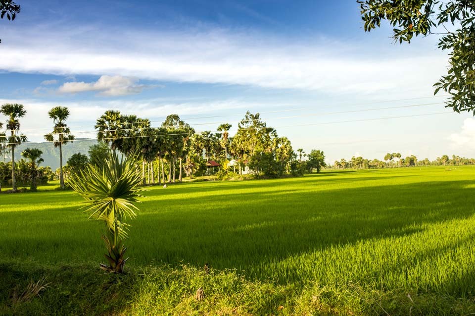 Hình ảnh làng quê Việt Nam đẹp yên bình nhất