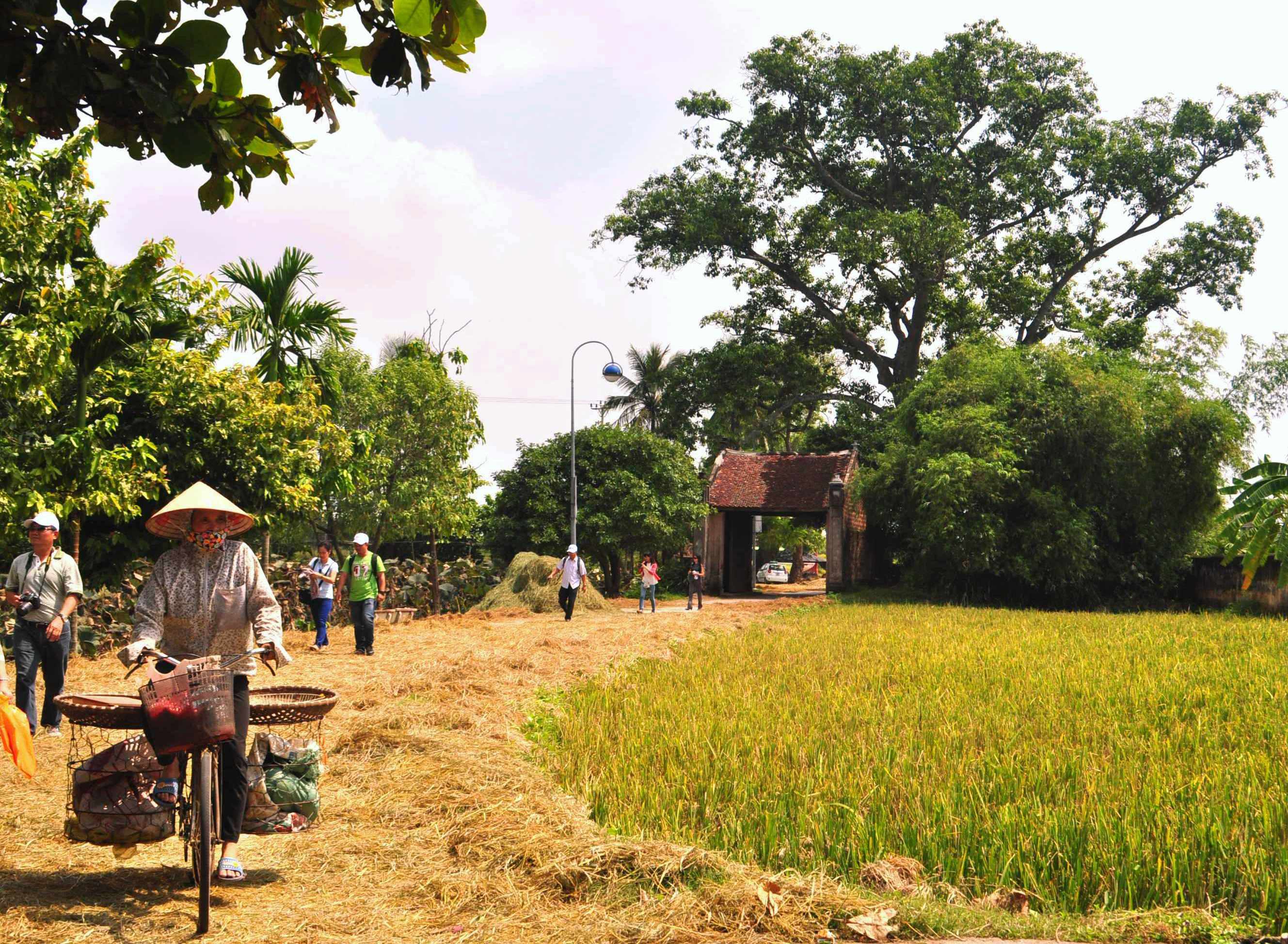 Hình ảnh làng quê Việt Nam tuyệt đẹp