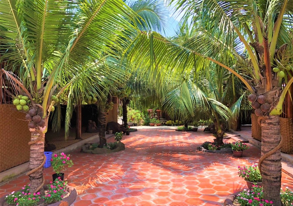 Hình ảnh ngôi nhà trồng toàn dừa cực đẹp