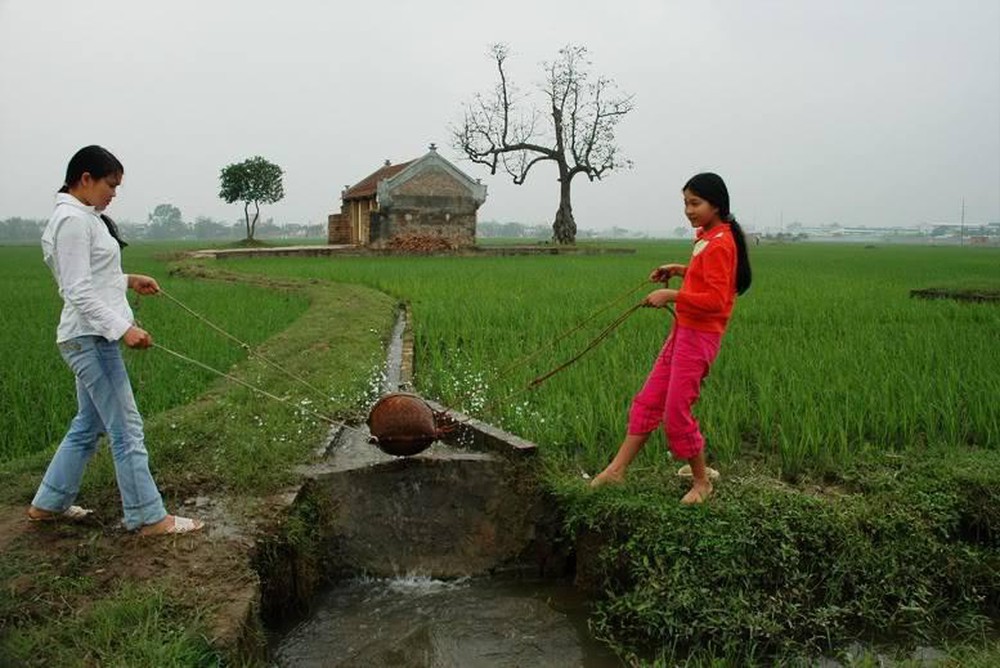 Hình ảnh tát nước vào ruộng ở làng quê Việt Nam