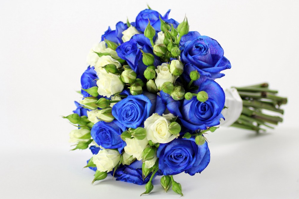 Ảnh đẹp về bó hoa hồng xanh dương