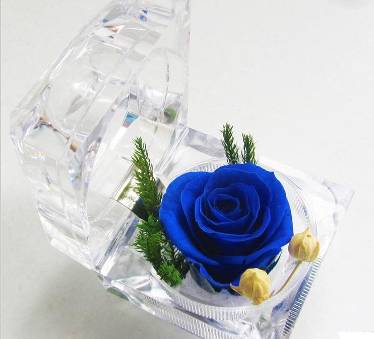 Hình ảnh về hoa hồng xanh dương đẹp