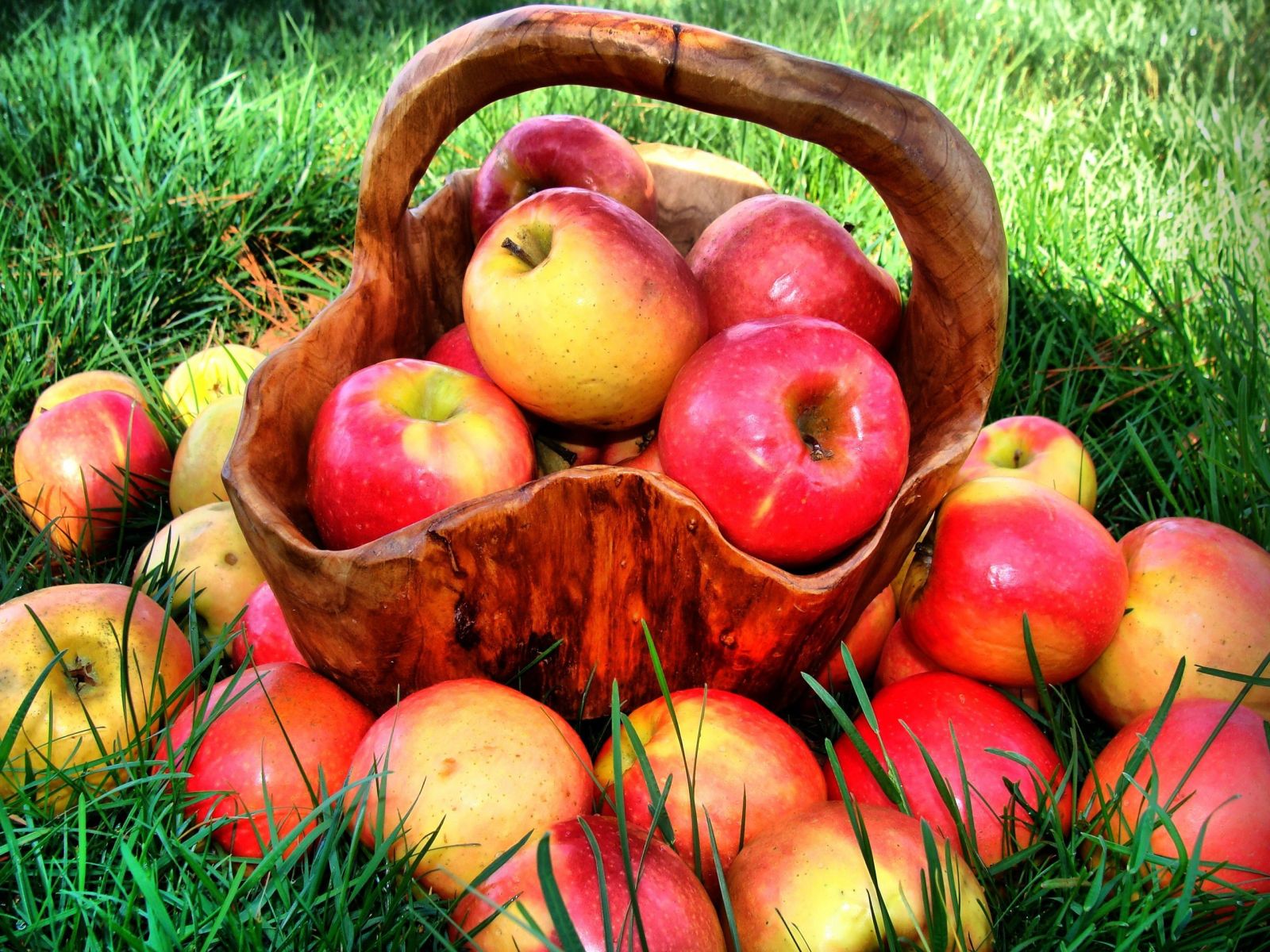 Hình nền những trái táo thơm ngon