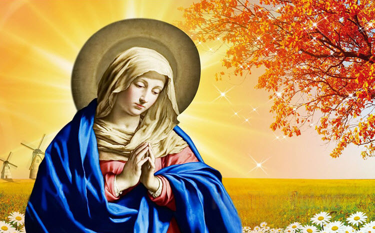 Mừng Sinh Nhật Mẹ Thiên Đàng  ƠN LÀNH TỪ MẪU  Tổng Hội Hiệp Sỹ Fatima   Mân Côi