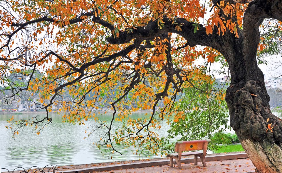 Hình ảnh mùa thu ở Hà Nội đẹp