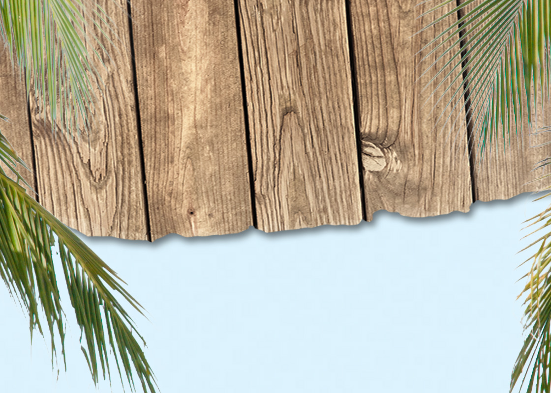 Hình nền slide lá dừa cây gỗ